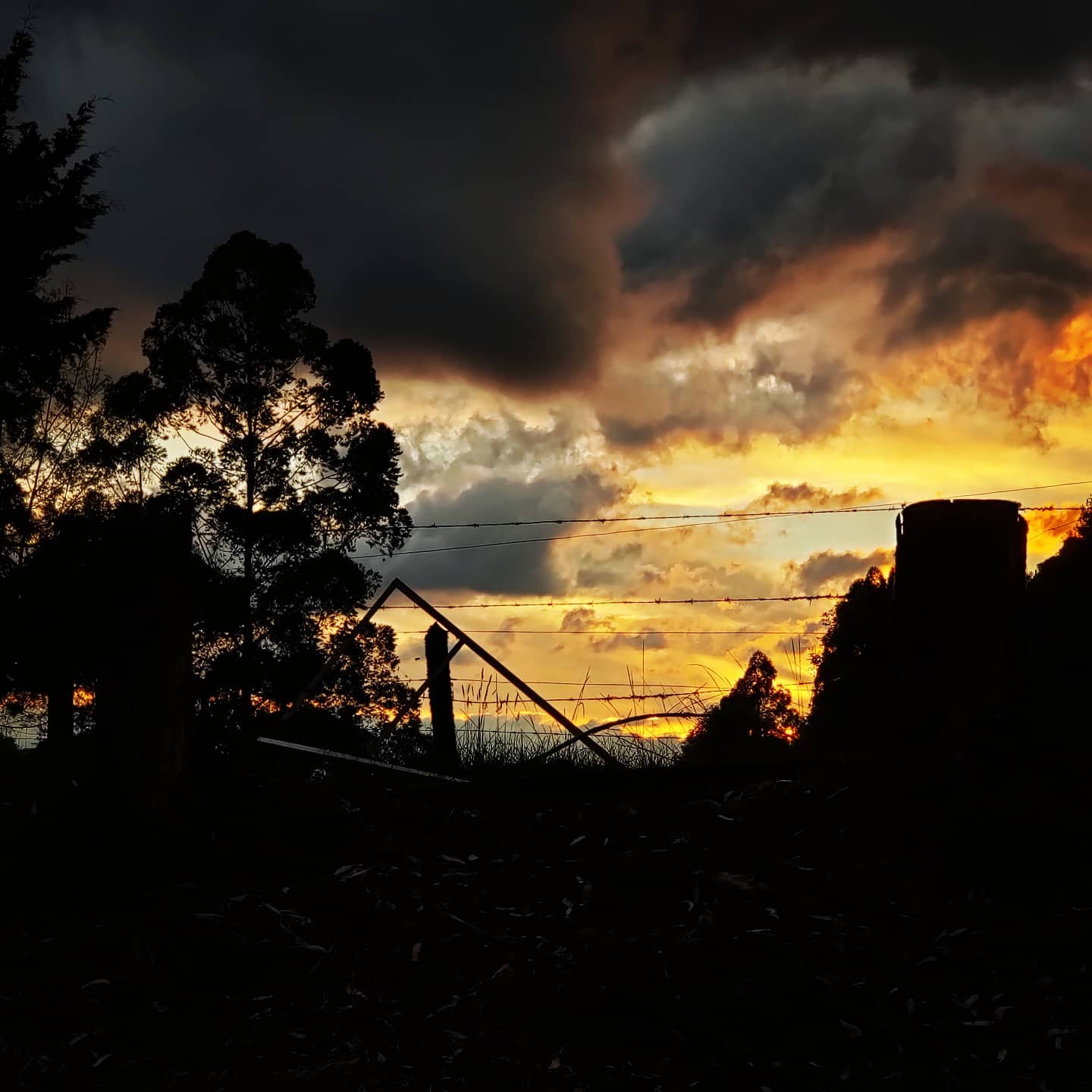 🔄☘️
#salentocolombia

Travel @ www.DigitalNomadAdventure.com

Art, Video & Sounds @ www.Jupistar.com

🇨🇴🇨🇴🇨🇴
Peace love & #adventures from #Colombia #travel #wanderlust #globetrotting #globetrekker #digitalnomad #digitalnomadlife #digitalnomads nomadicfirstandforemost creatingmemoories belikeabutterfly memories #vistas

️
#blueskies #sunnydays #sunsets #sunrise

🏞️⛰️
#mountain #mountainview #nature #rollinghills #countryside #escapethecity


comesharetheviews #cocora #cocoravalley Enter the #Andes. The department of #Quindio literally meaning #paradise