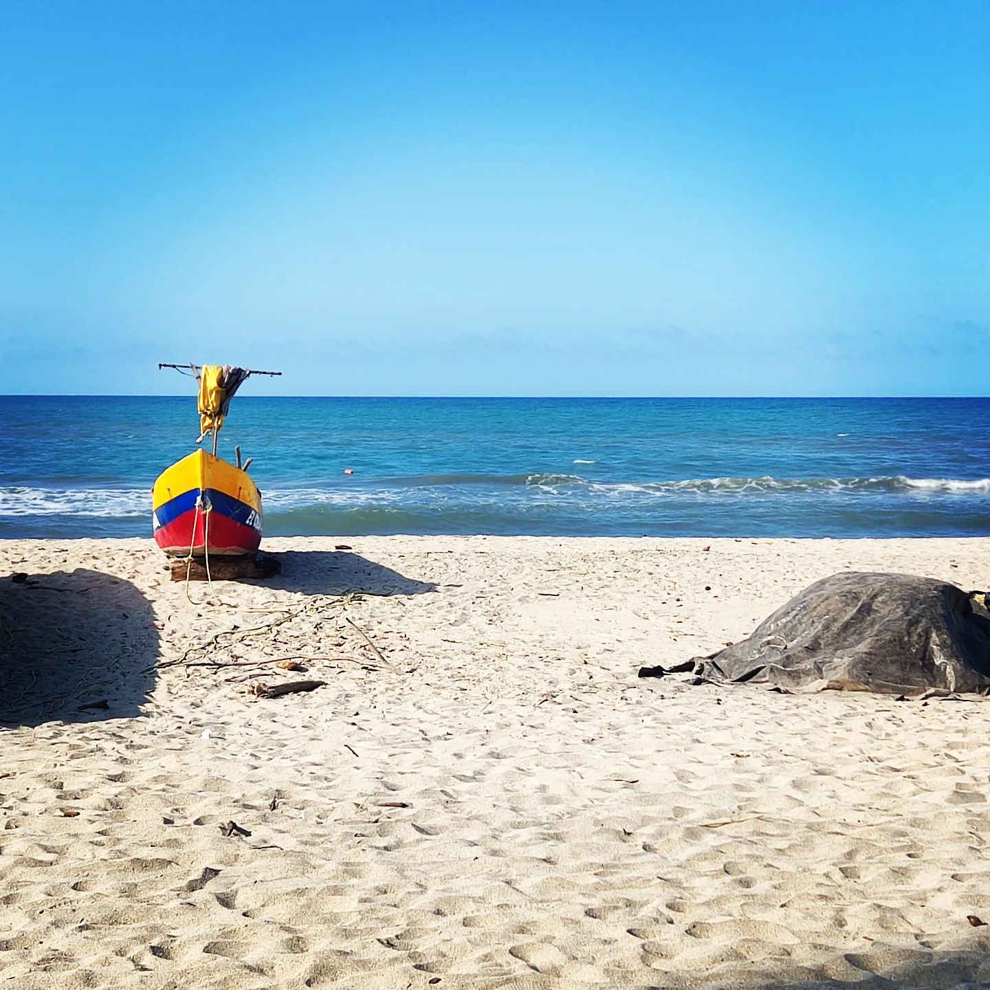 🔄 #costeñobeach 🏖️

Magic #playa #beach 🖍️ #Caribe Colombian #Caribbean

Travel @ www.DigitalNomadAdventure.com
Art, Video & Sounds @ www.Jupistar.com

 TimeToWakeUp GoodTimes beacon. #Bohemia gives you a different set of cards... Breathe ...  relax and take in the education, gratitude 

🏖️️
#playa #beach #coastline #seaviews #oceonviews #sea #oceon #coast

🇨🇴🇨🇴🇨🇴
Peace love & #adventures from Colombia #travel #wanderlust #globetrotting #globetrekker #digitalnomad #digitalnomadlife #digitalnomads #nomadicfirstandforemost #creatingmemoories #belikeabutterfly #memories #vistas #journeys

☘️
#naturalmedicine #plantbasednutrition #zen

🚴‍♂️🚴‍♀️🚴
#lifebehindbars